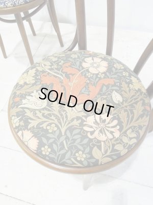 こちらの張地はコンプトン、背景と植物のコントラストが目を引きます。