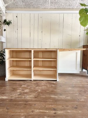 背面は可動棚を4枚入れました。引き出しや扉も設置可。