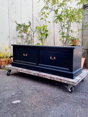 写真はW1200、D370、H400mm、ワンルームのリビング収納に。