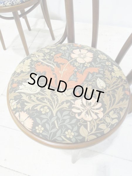 こちらの張地はコンプトン、背景と植物のコントラストが目を引きます。