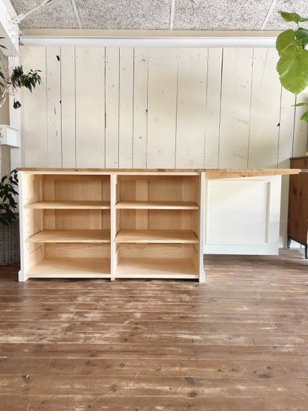 背面は可動棚を4枚入れました。引き出しや扉も設置可。