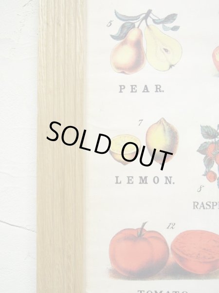 画像5: 在庫処分 オーク材ポスターフレーム <デザインC・500x700> (5)